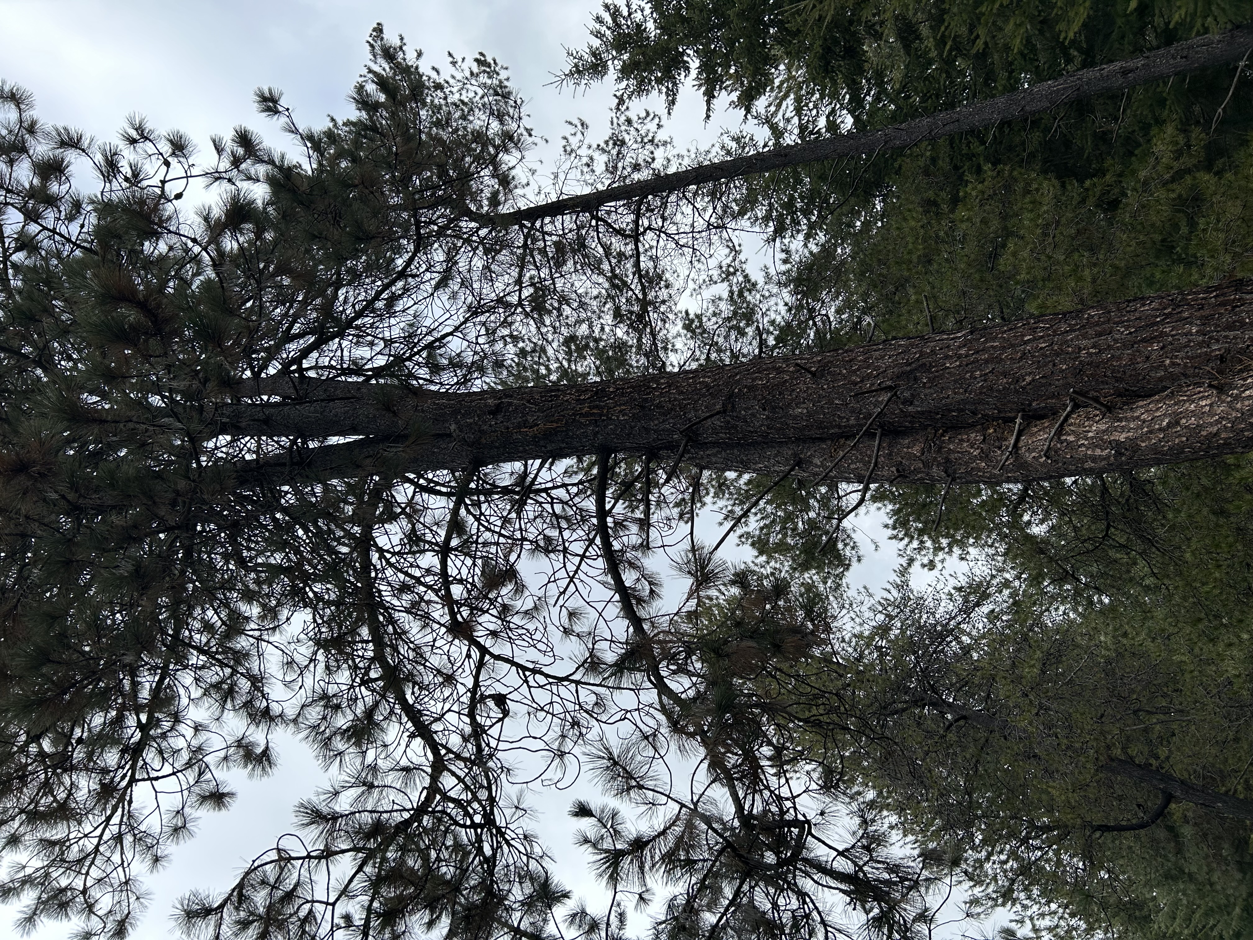 IMG_4714.jpeg