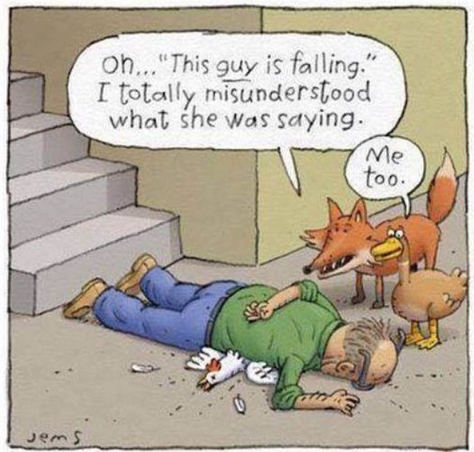 Far Side.jpg