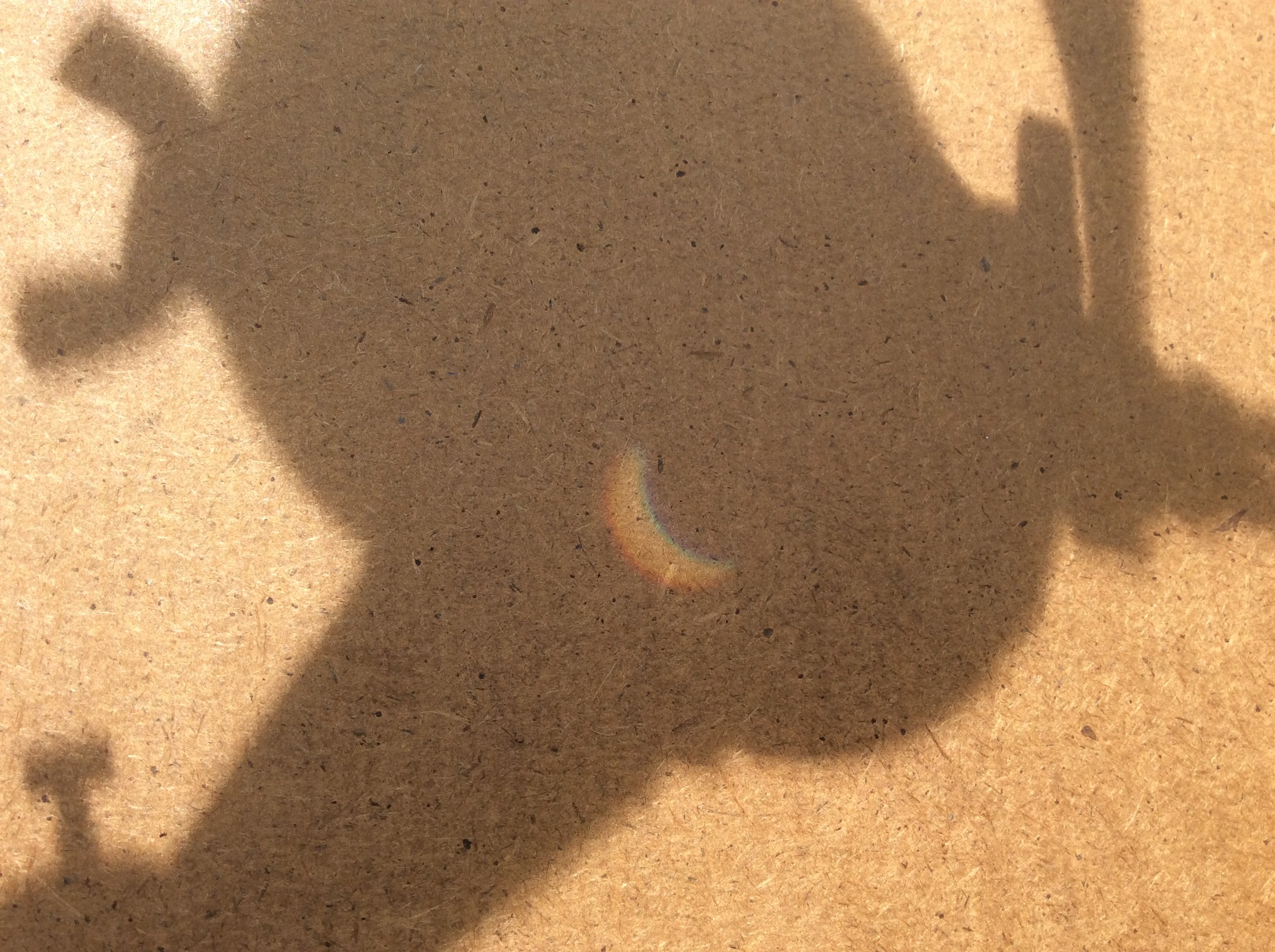 Eclipse shot at 3 PM   2024.jpg