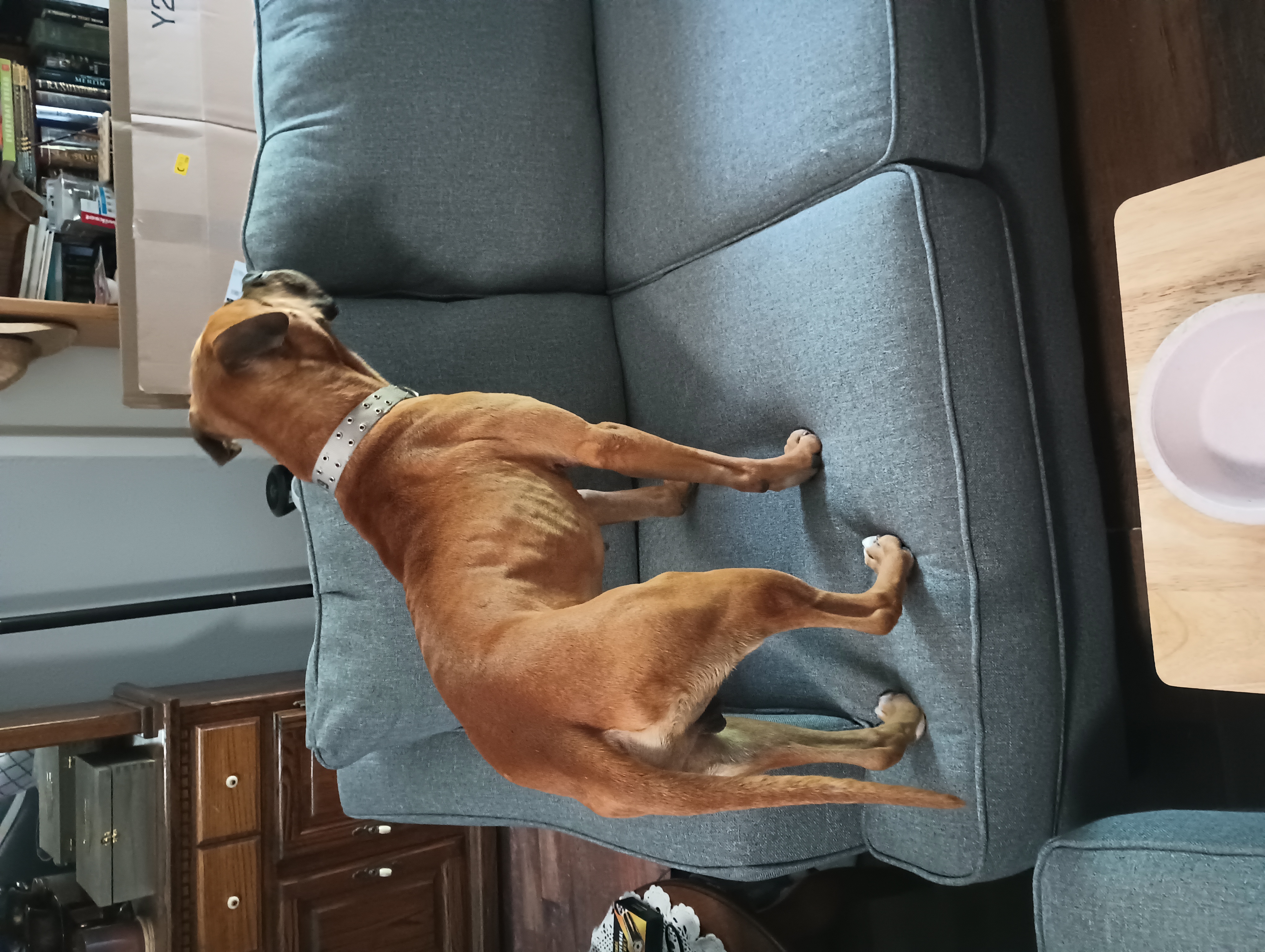 Bosco James.jpg