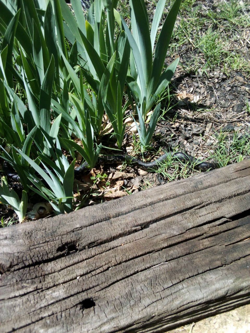 IMG_20240422_115613.jpg