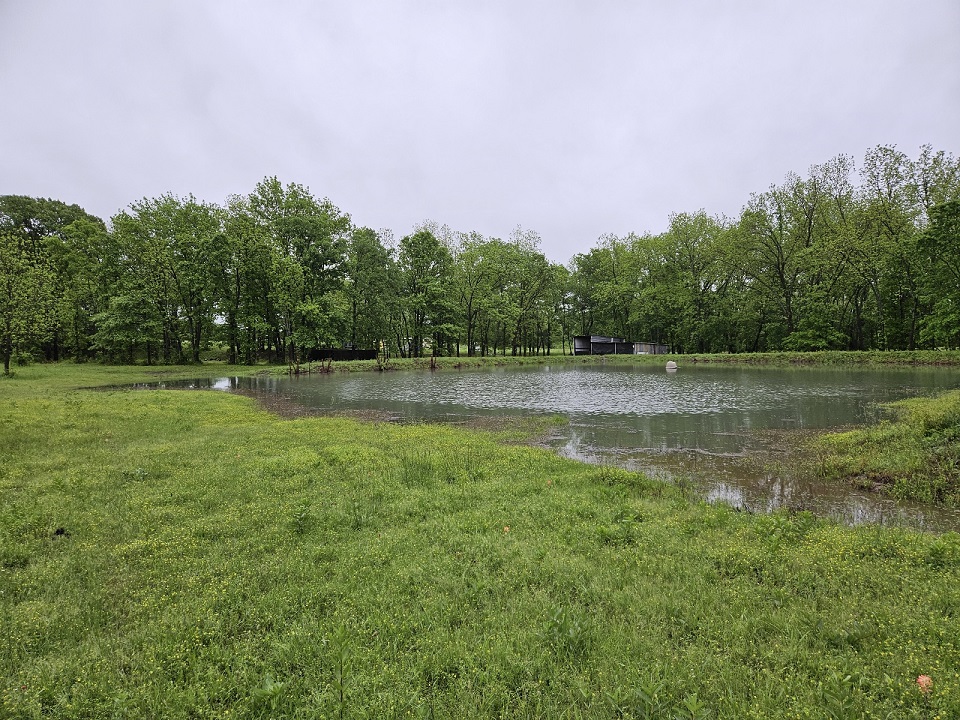 pond filled.jpg