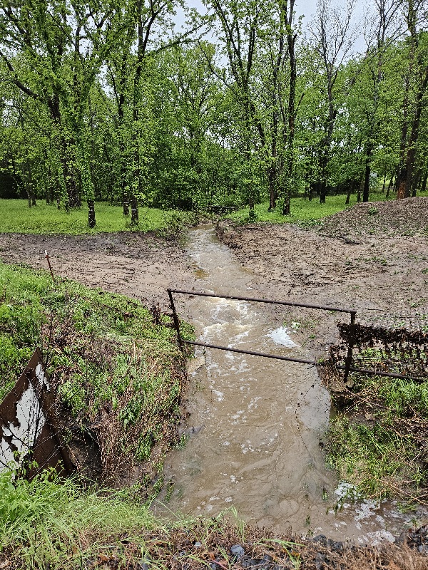 creek rushing.jpg