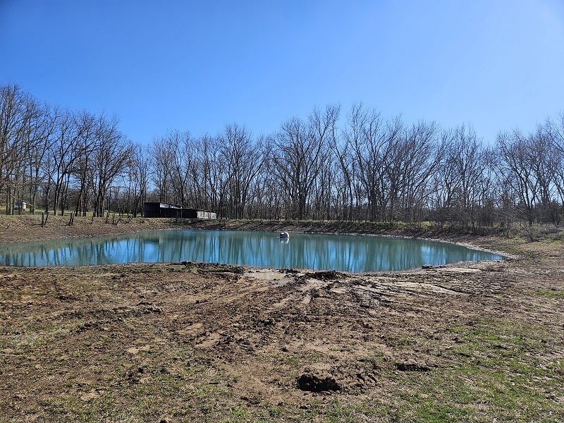 dyed pond 240309.jpg