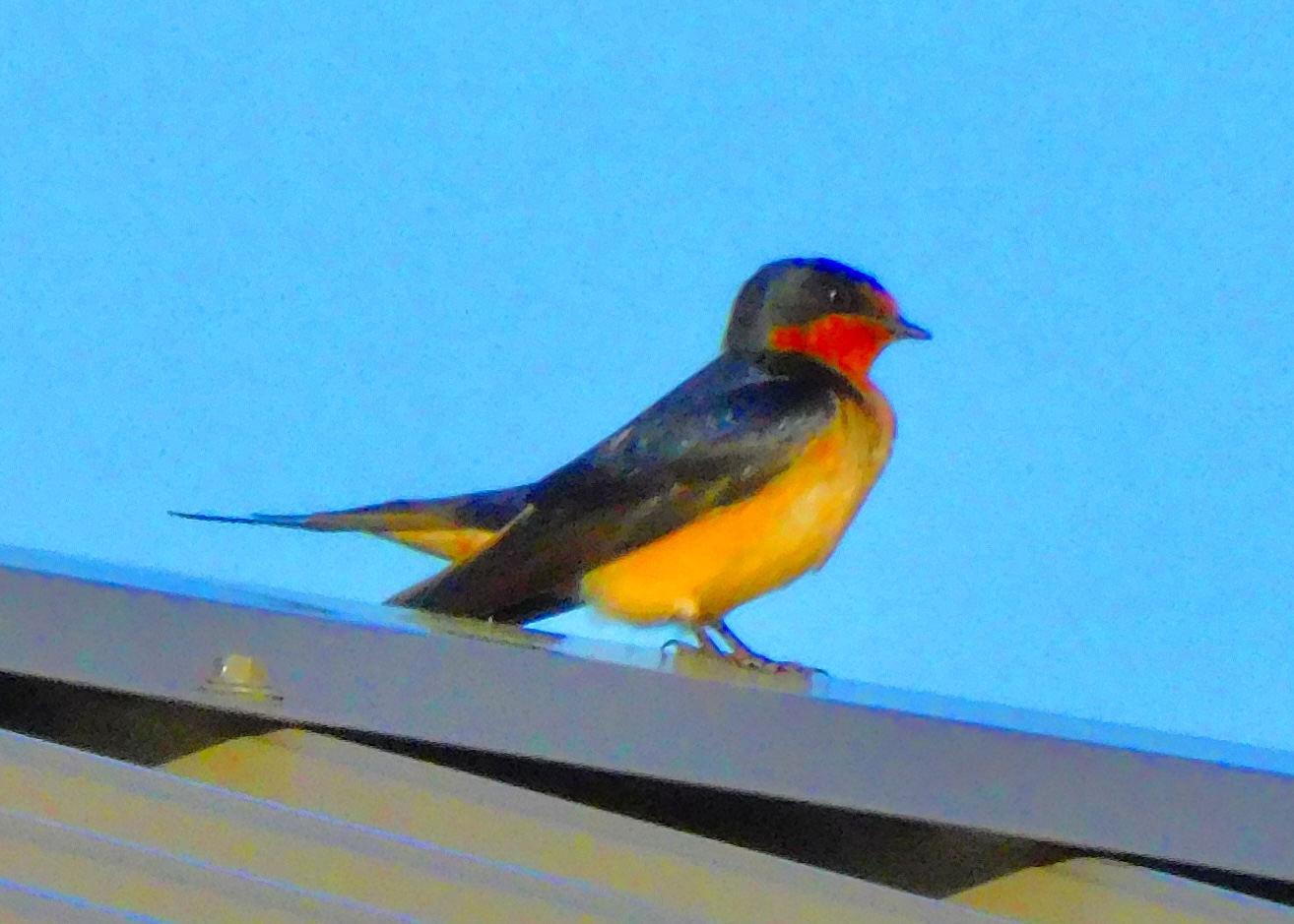 D76C4F41-547E-4CD6-A6AD-5B633ADC5303.jpeg
