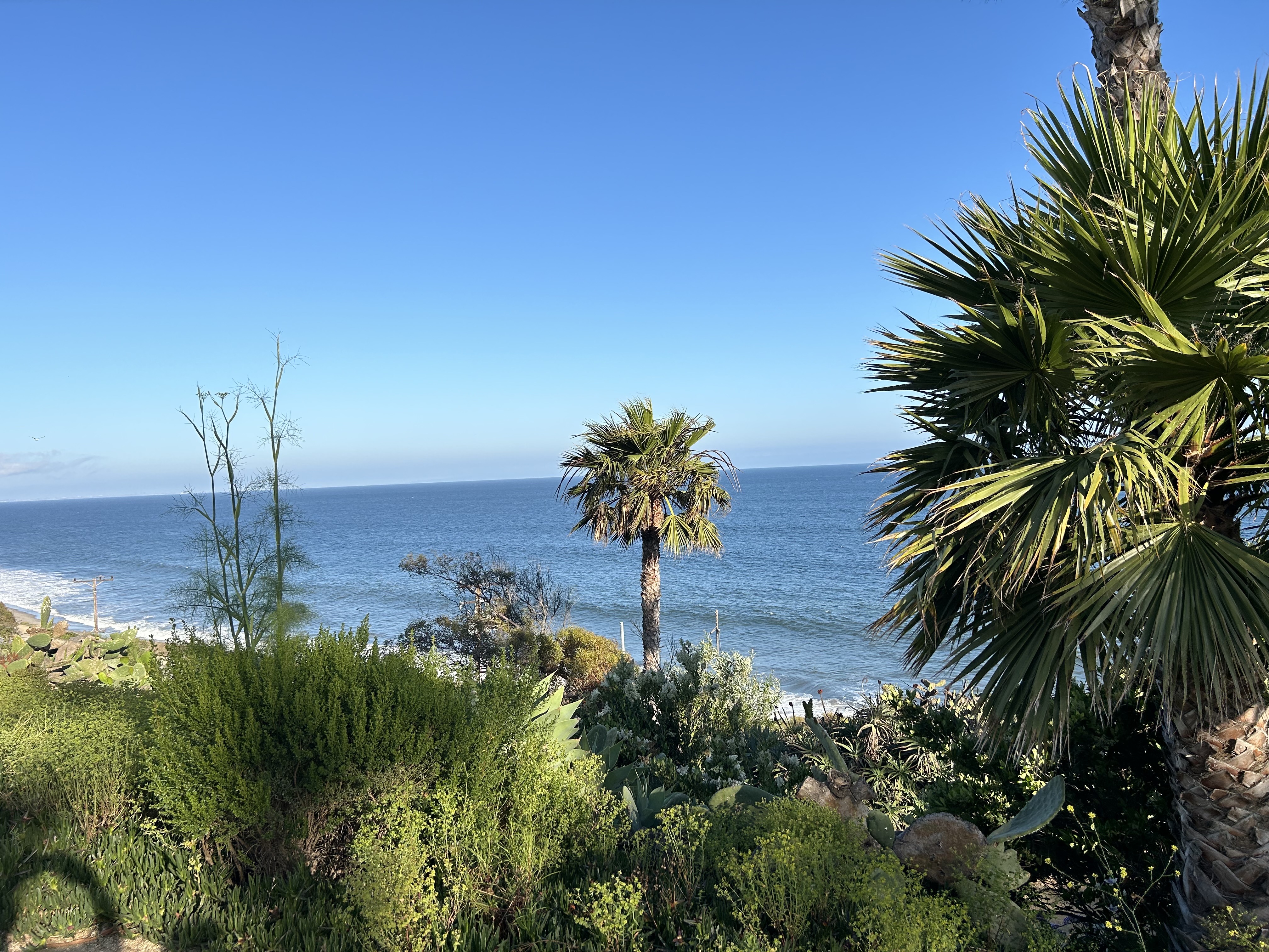 IMG_5090.jpeg