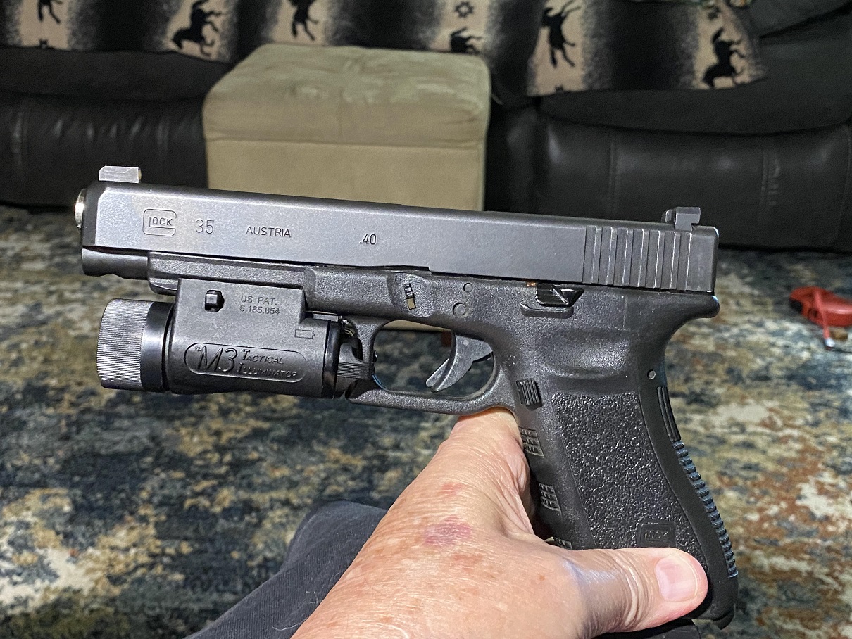 01 The house gun.jpg