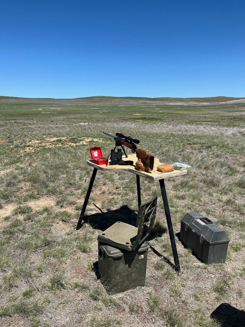 Prairie dogs.jpg