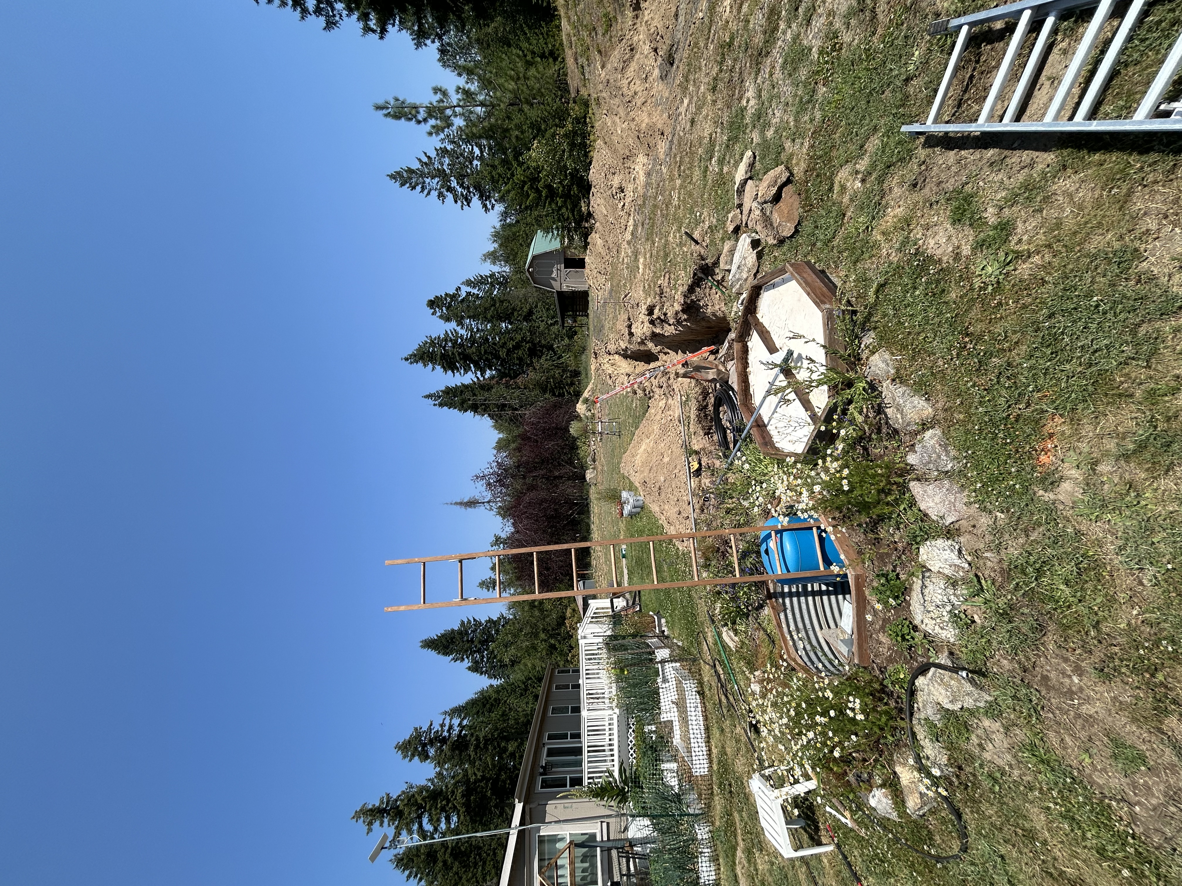 IMG_5706.jpeg