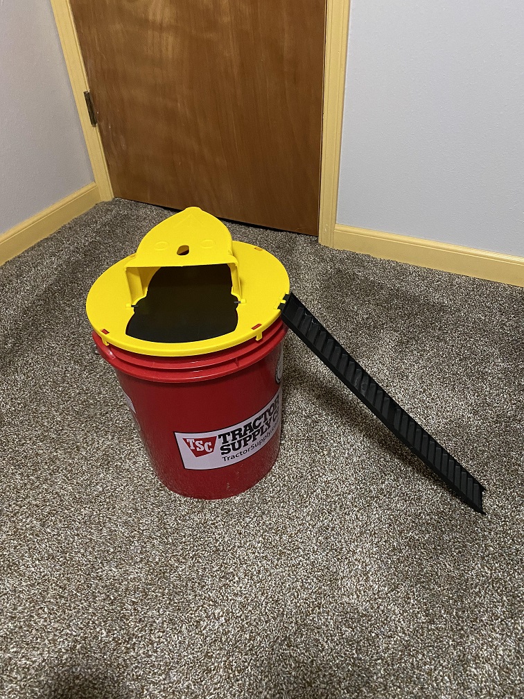 better mousetrap.jpg