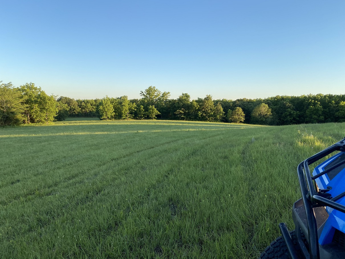 23 view from the top of our hay field comp.jpg
