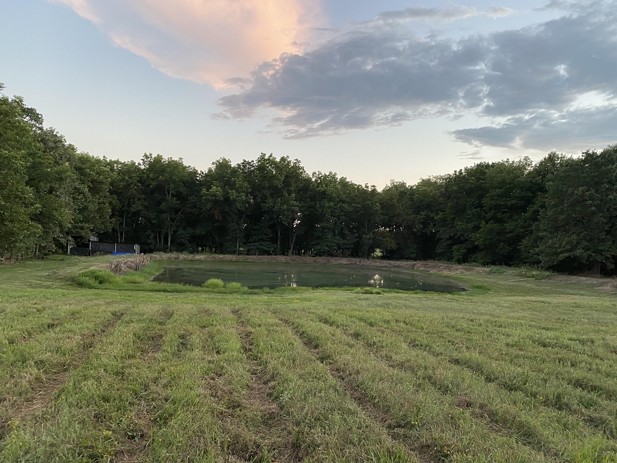 closer look at the pond.jpg