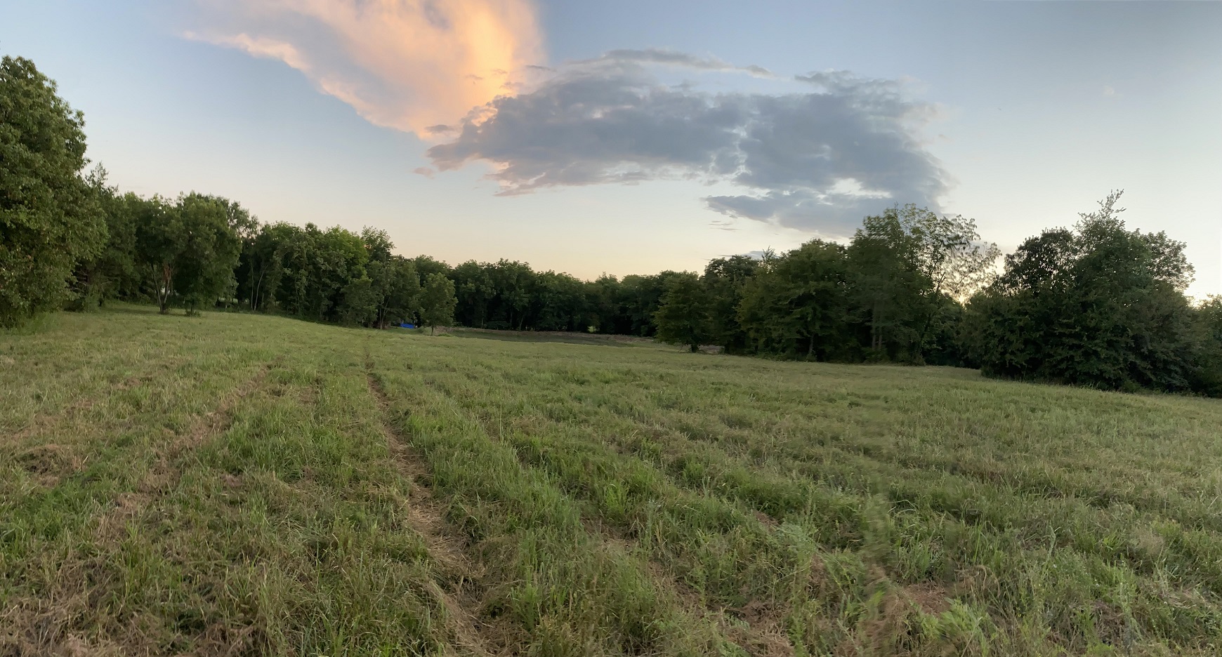 middle pasture.jpg
