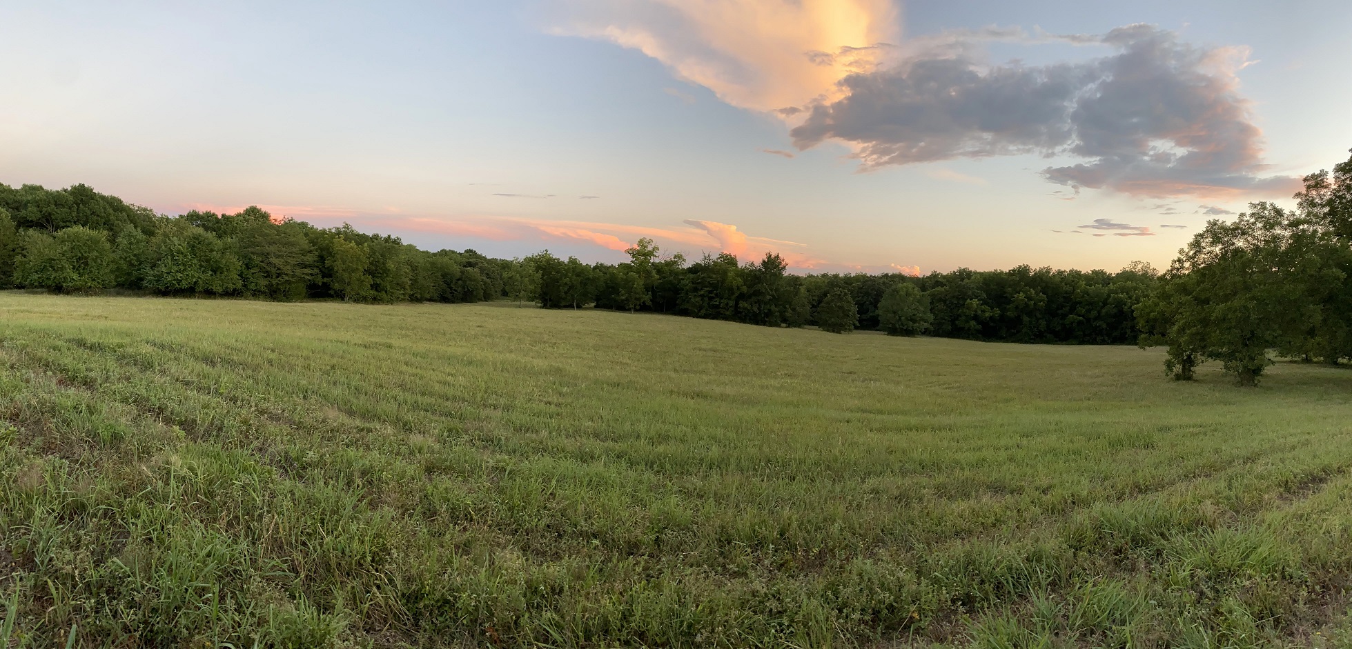 north pasture.jpg