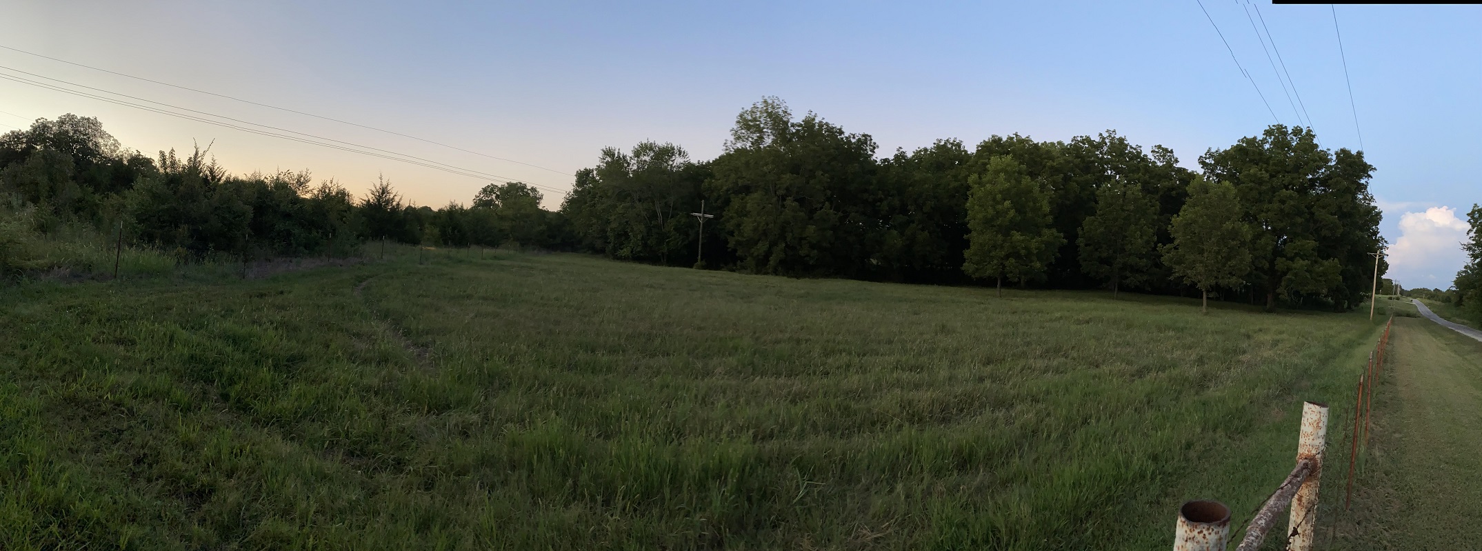 orchard at sunset.jpg
