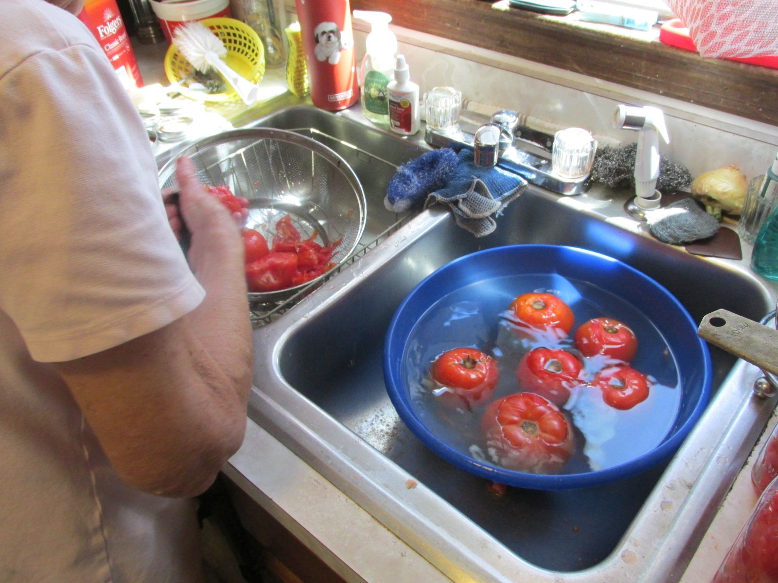 240901 001 tomatoes 003.jpg