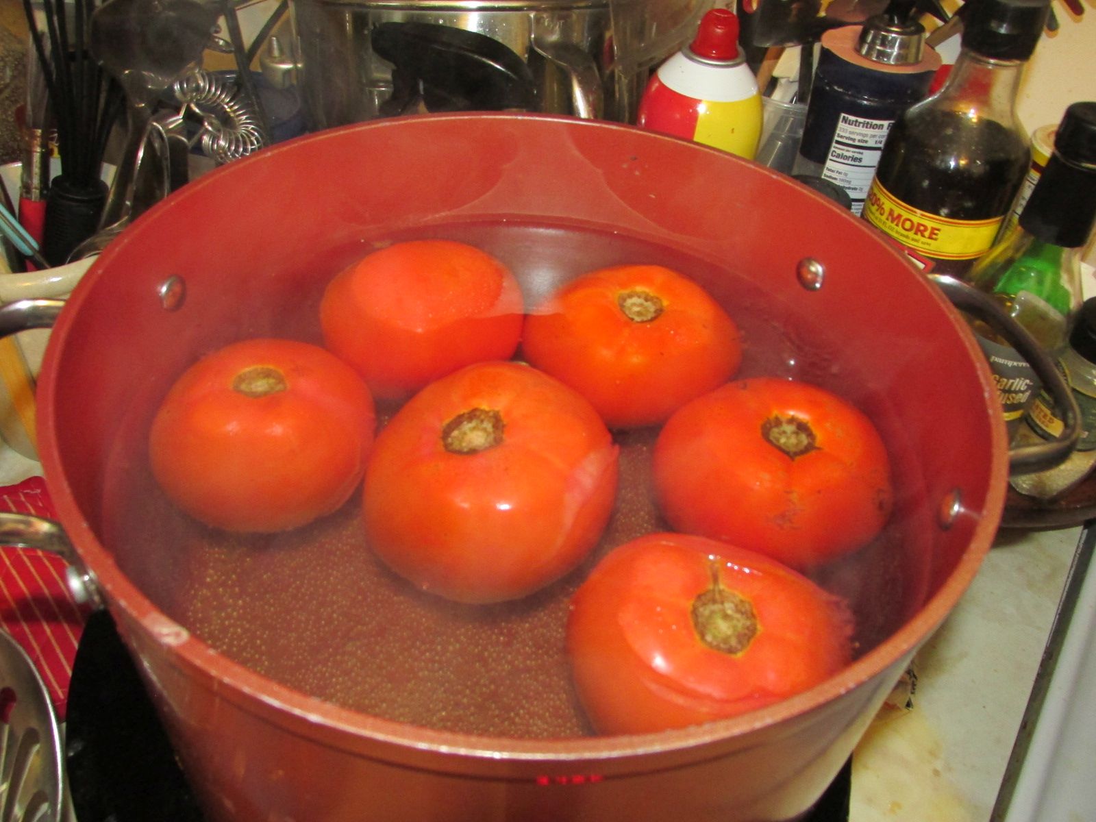 240901 001 tomatoes 004.jpg