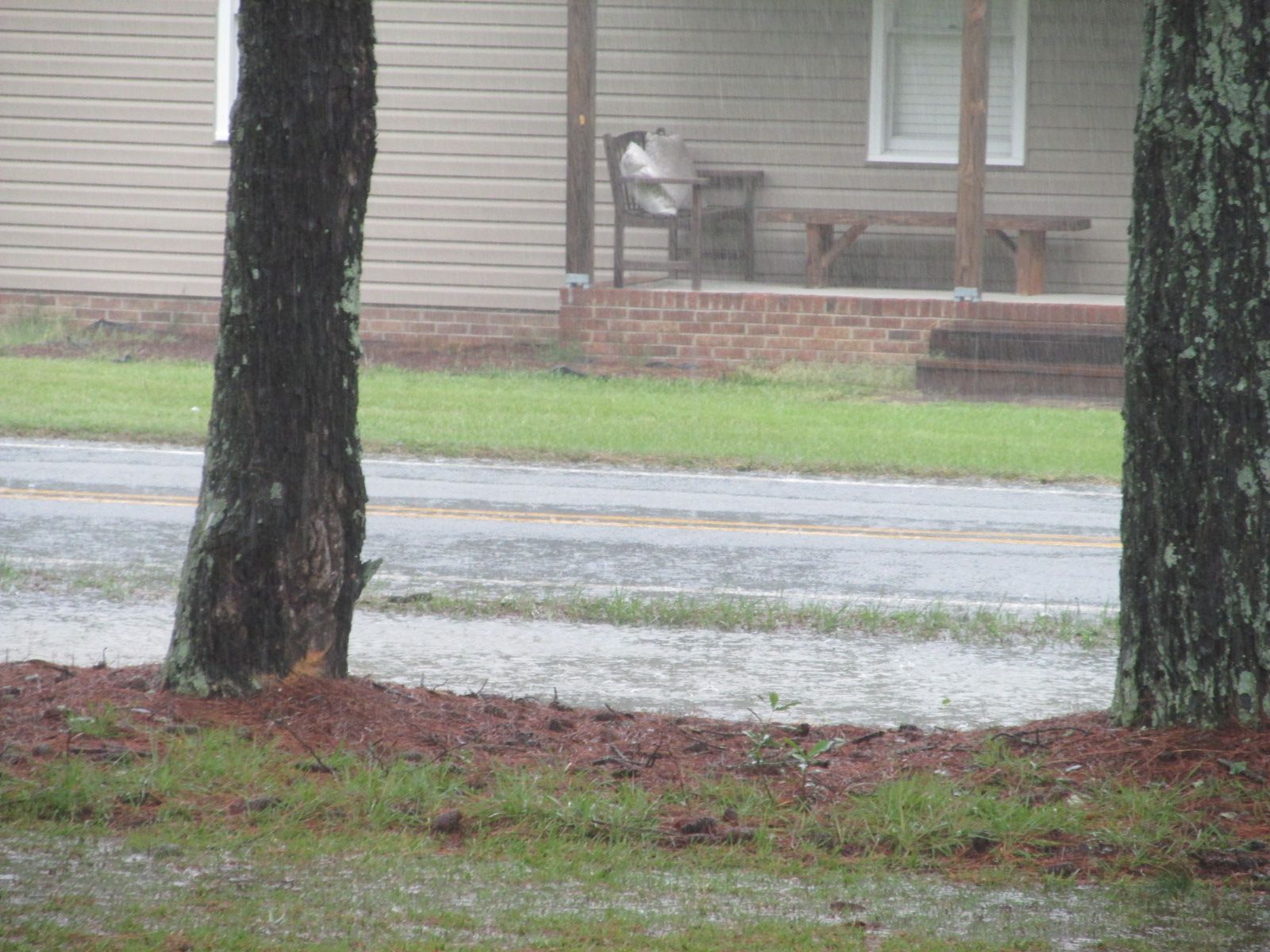 240913 002 all day rain 004.jpg