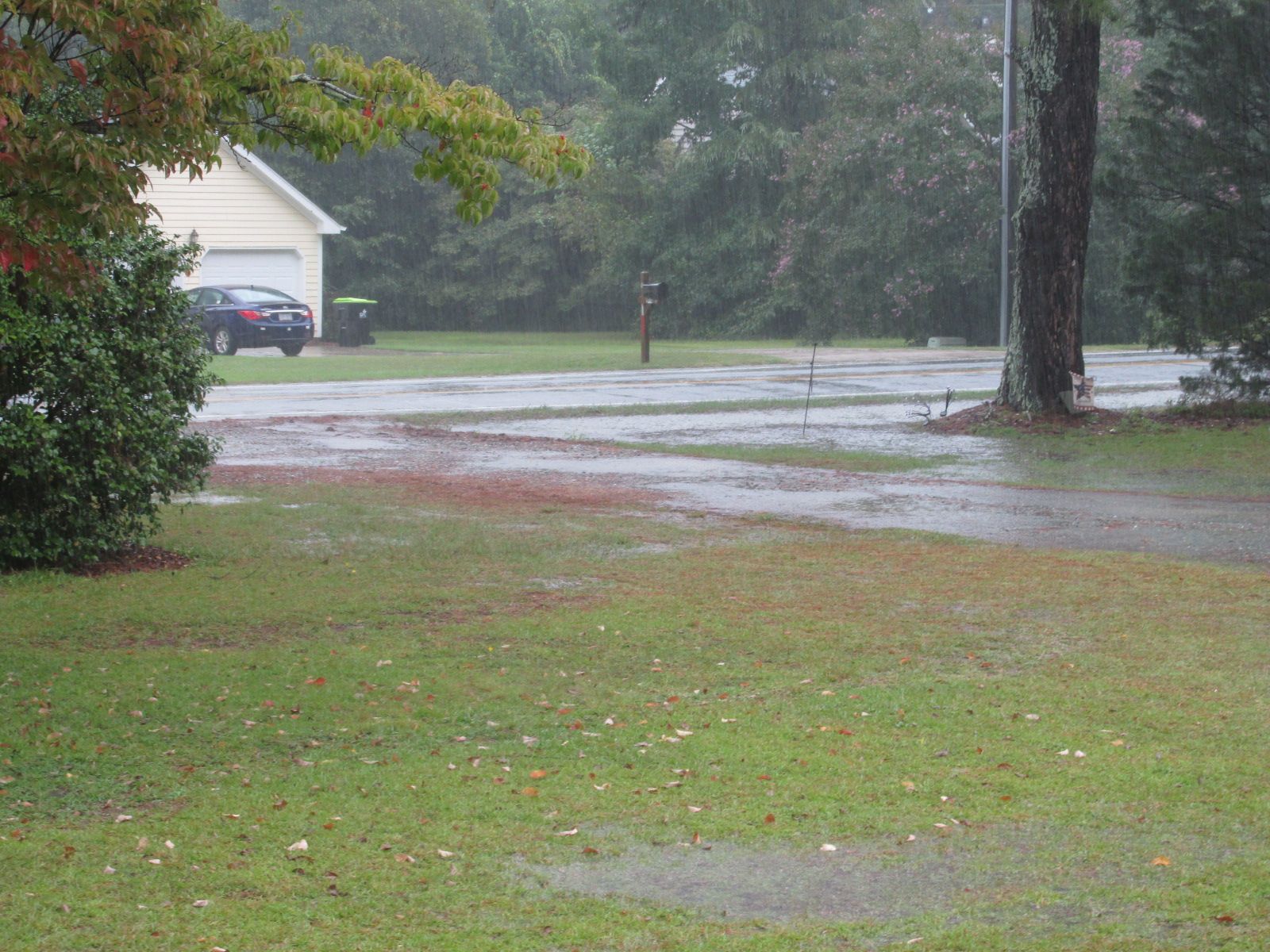 240913 002 all day rain 003.jpg