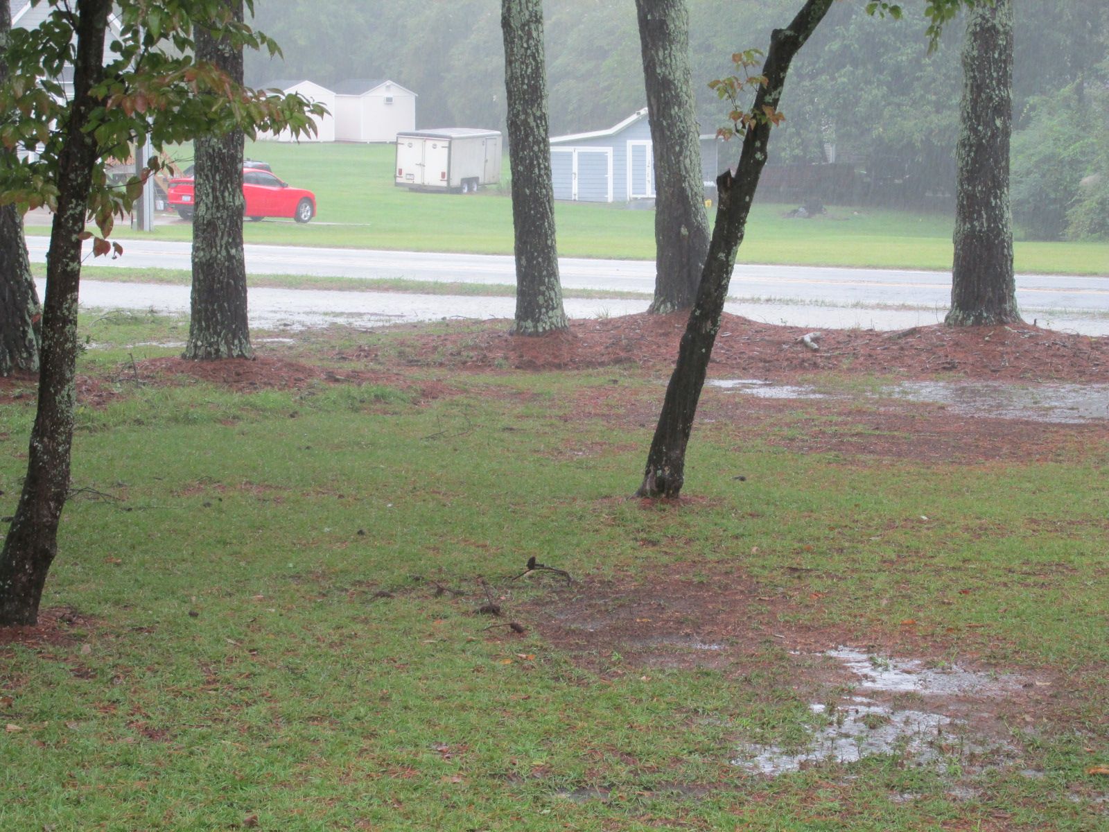240913 002 all day rain 002.jpg