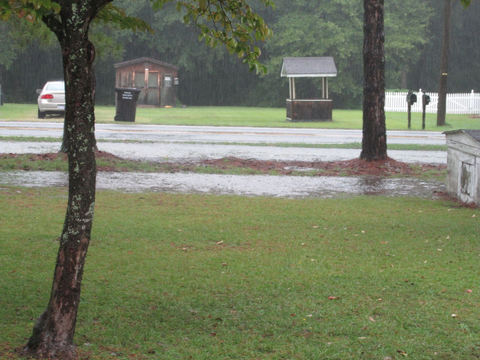 240913 002 all day rain 001.jpg