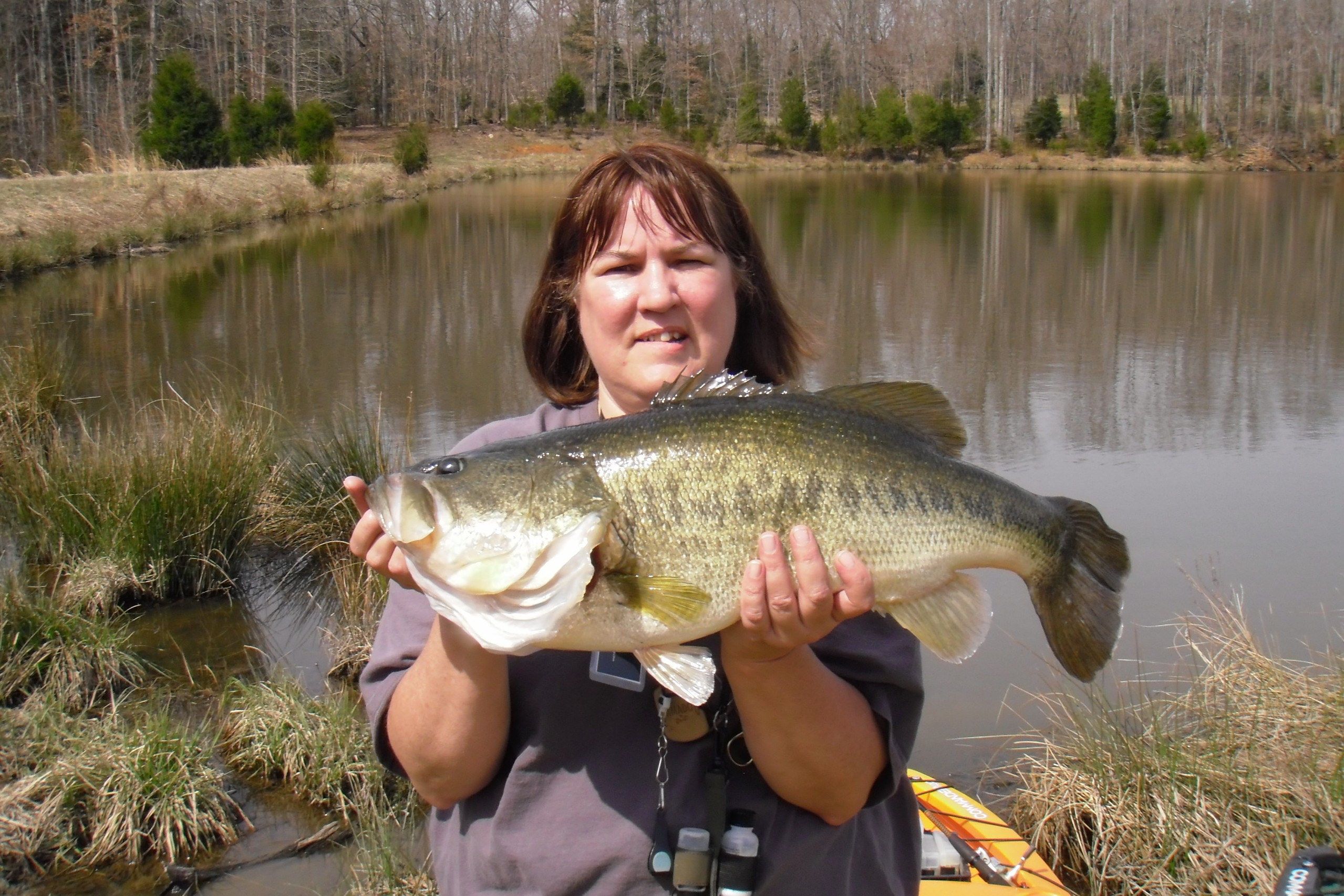 Tinas Big Bass cropped.jpg