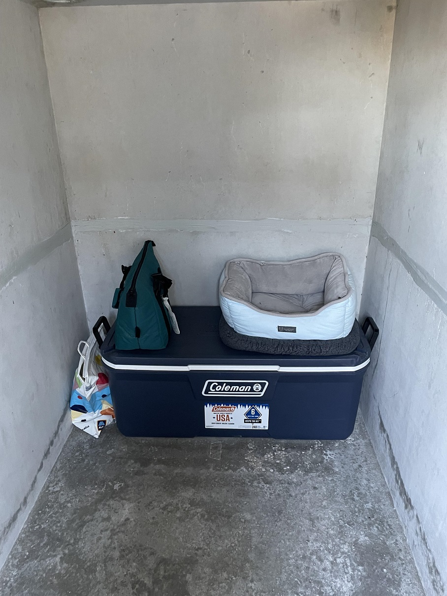dry storage and dog bed.jpg