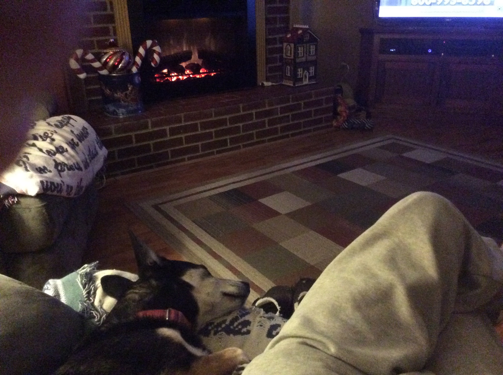 just a snooze before Christmas.jpg