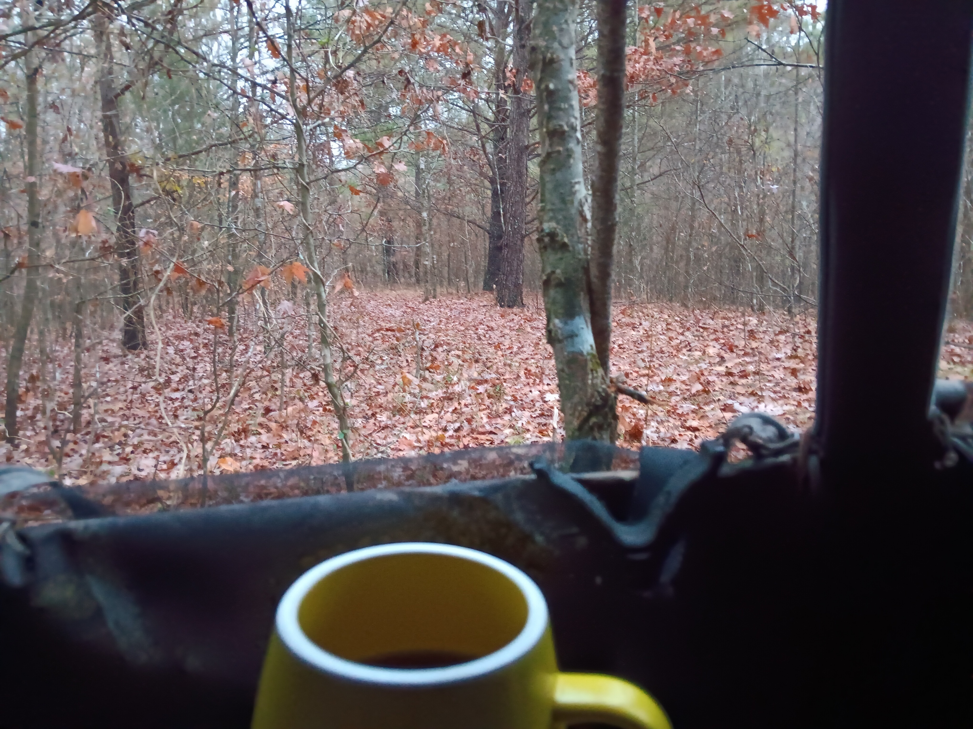 20241210_070131.jpg
