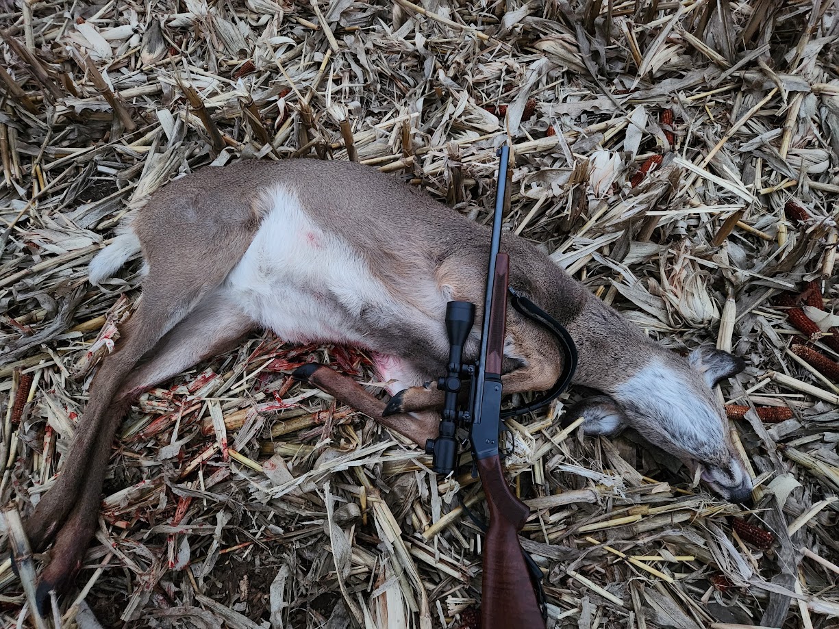 12172024doe135lbs357max.jpg