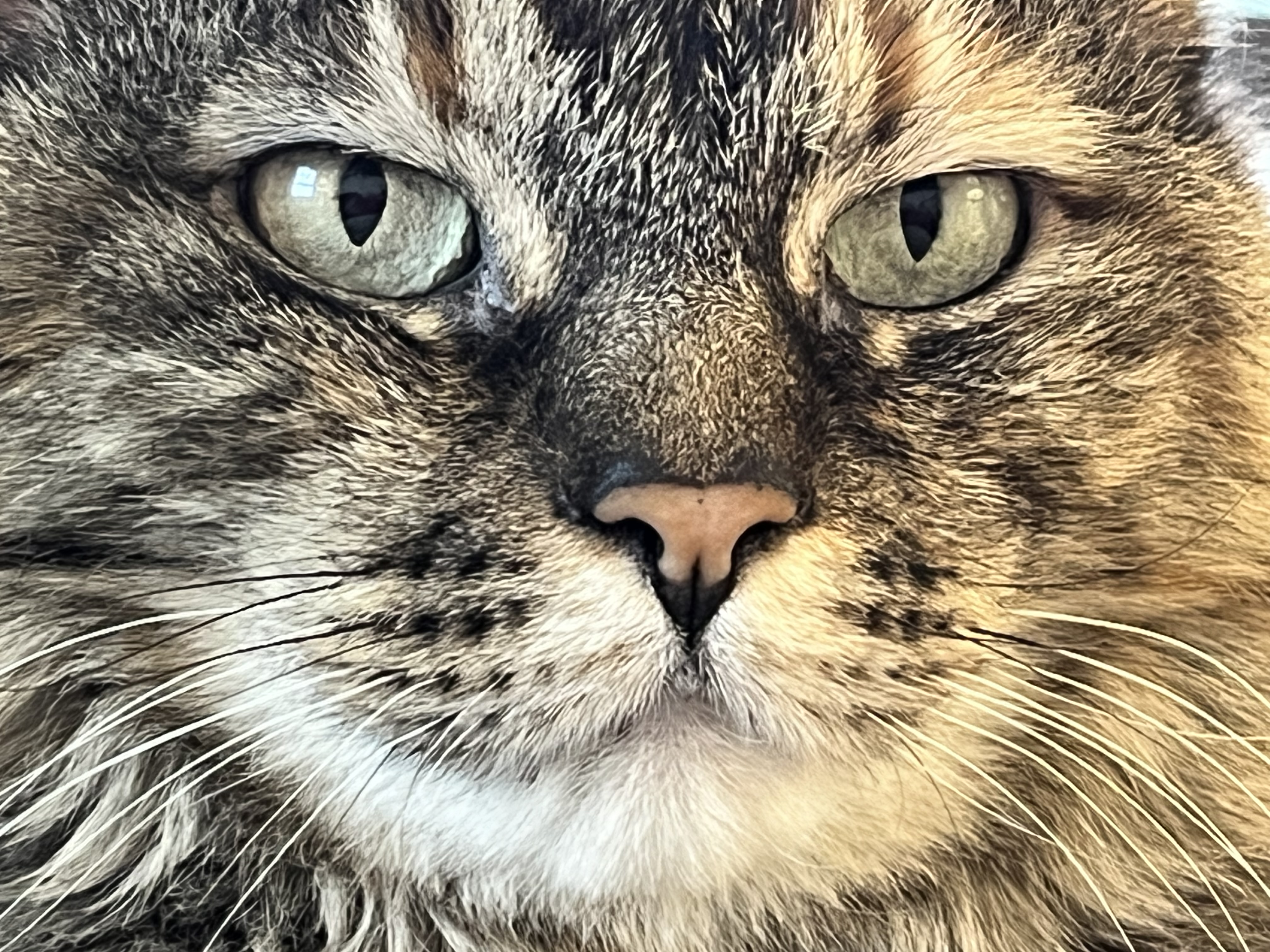 IMG_2624.jpeg