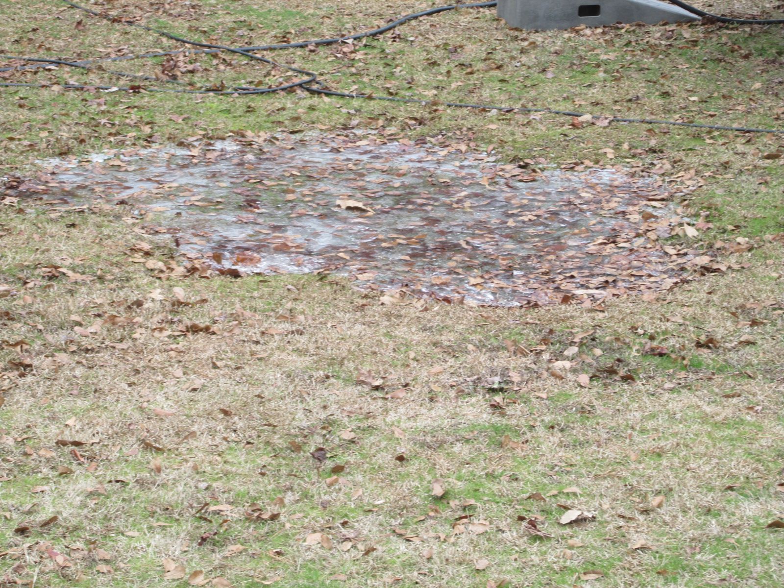 250110 001 Lake Barnwell frozen 002.jpg