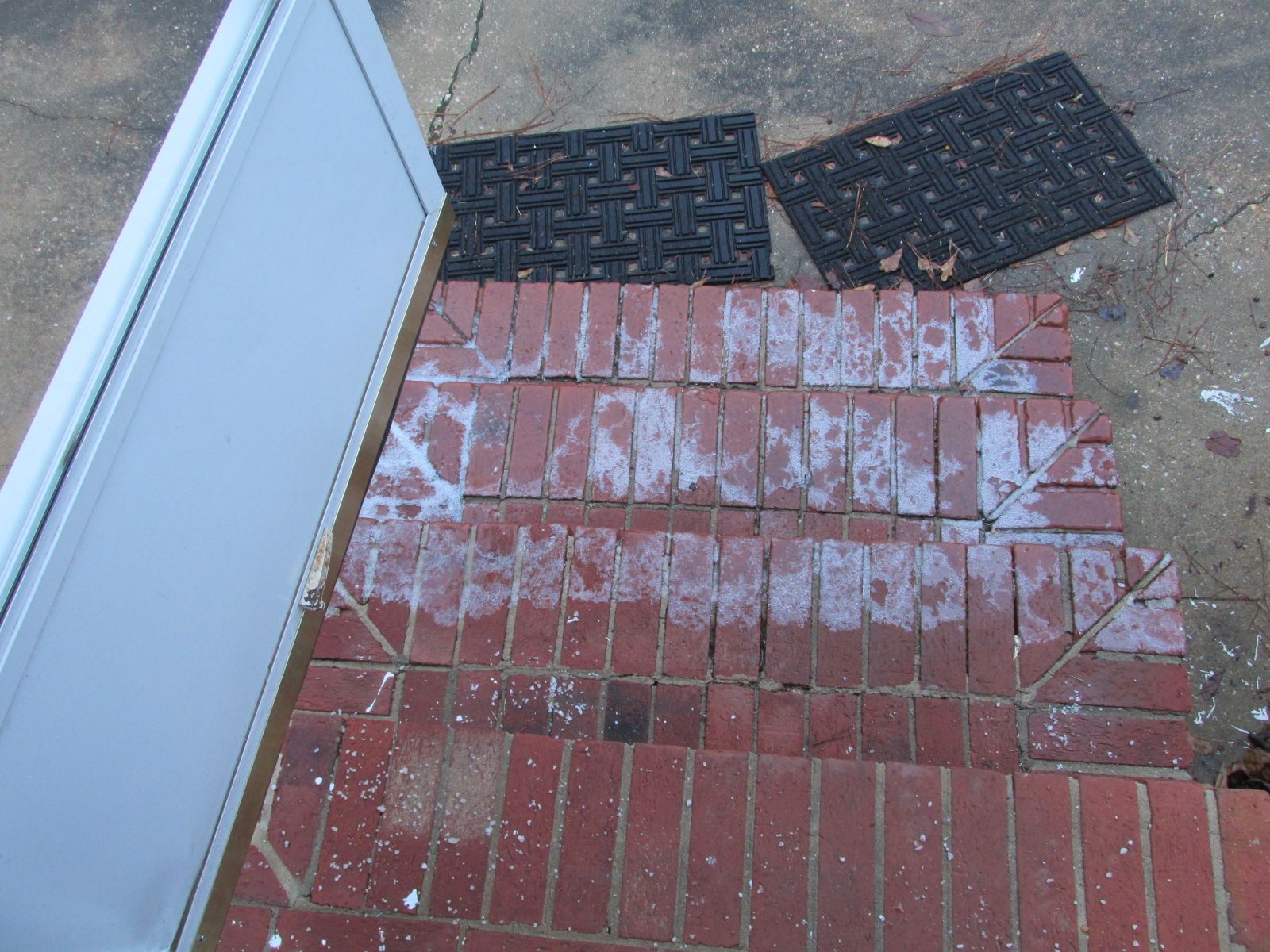 250111 001 ice storm 001.jpg