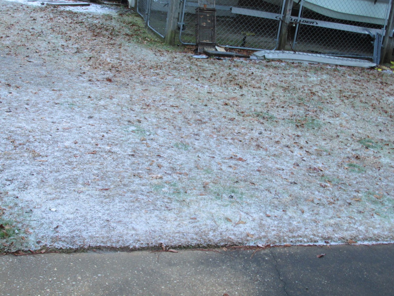 250111 001 ice storm 003.jpg