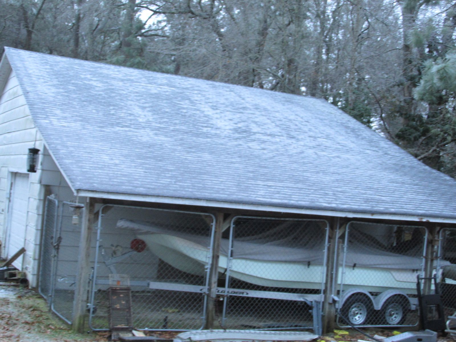 250111 001 ice storm 004.jpg