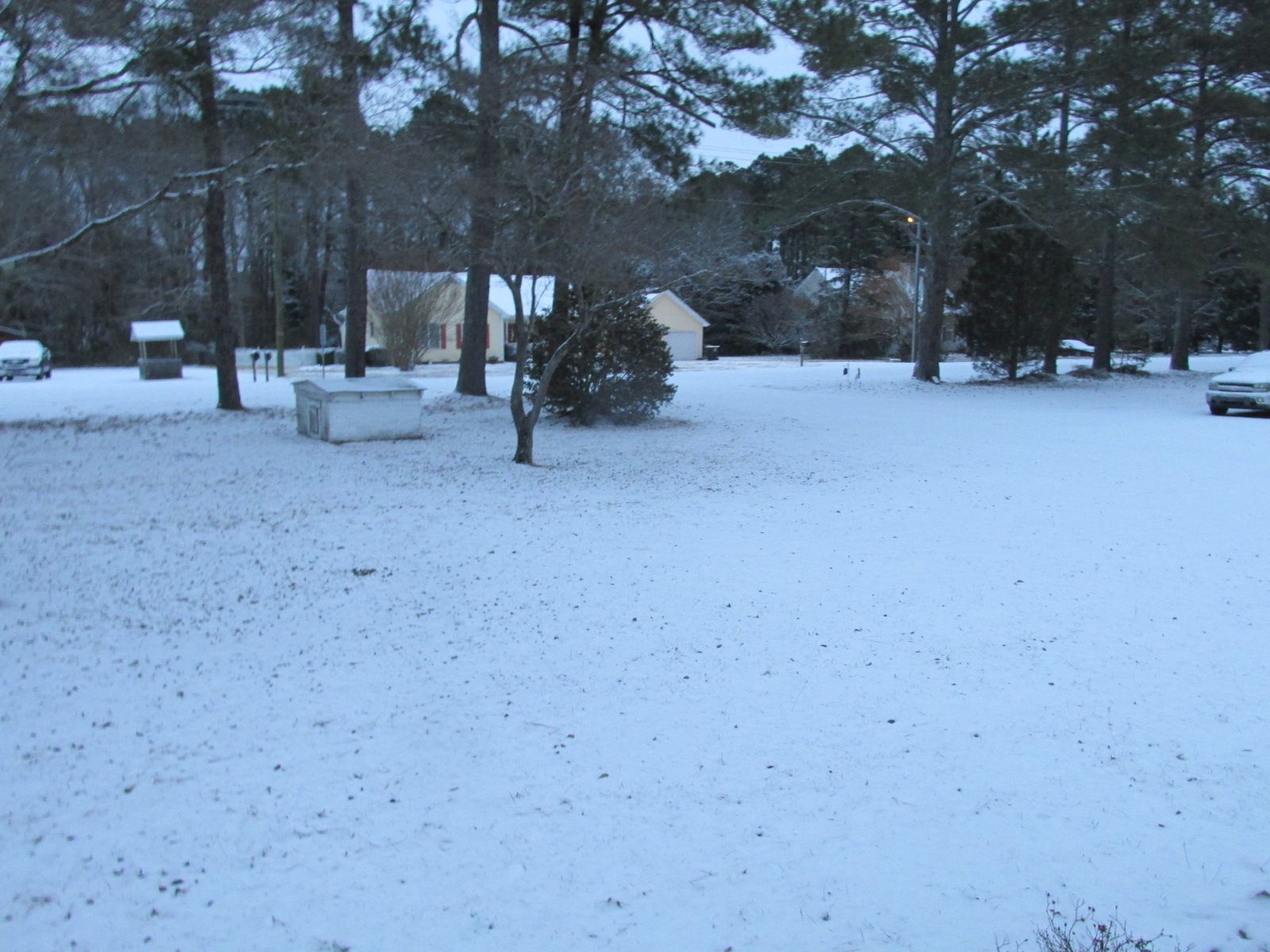 250122 001 3 inches 005.jpg