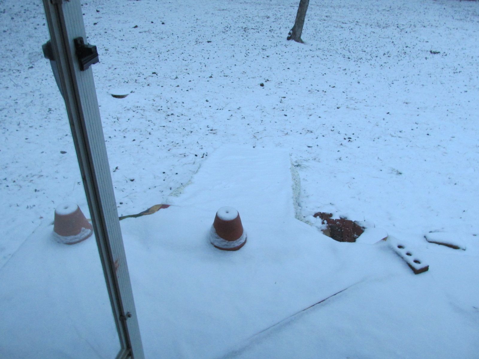 250122 001 3 inches 004.jpg