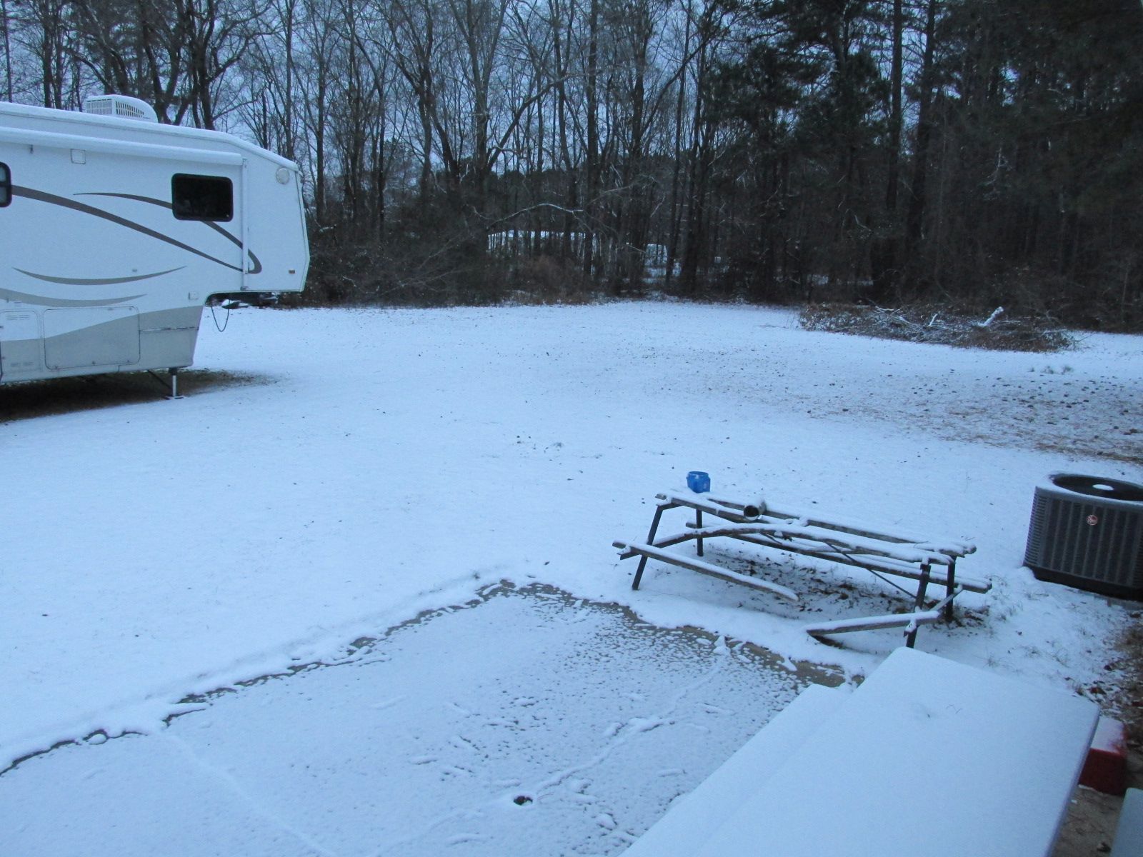 250122 001 3 inches 002.jpg