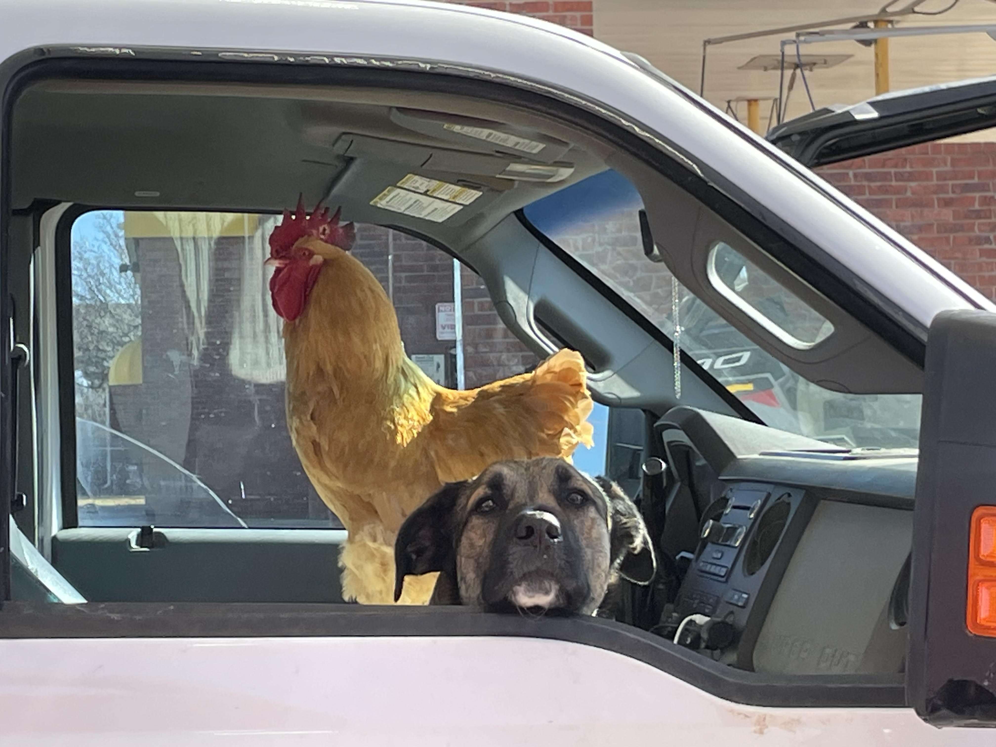 oklahoma redneck gasstation 250201.jpg