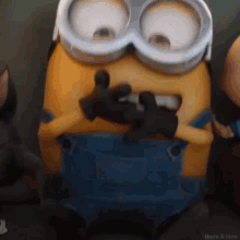 IMG_3649.gif