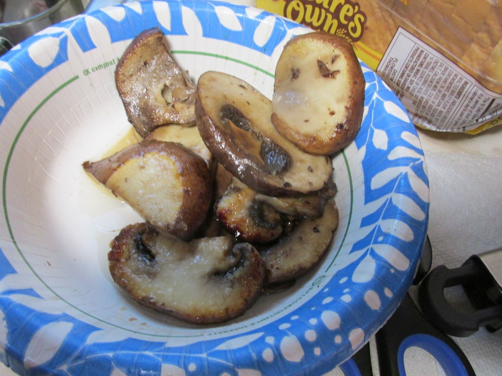 250217 002 mushrooms 001.jpg