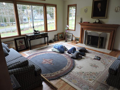 DSCN1700.JPG