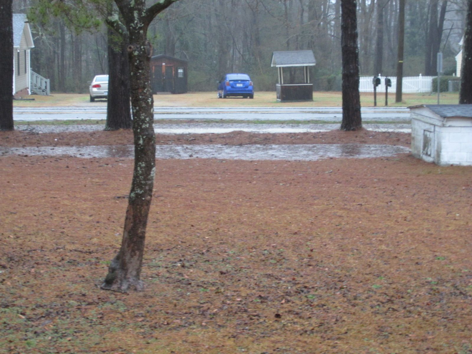250305 001 thunder storm 001.jpg
