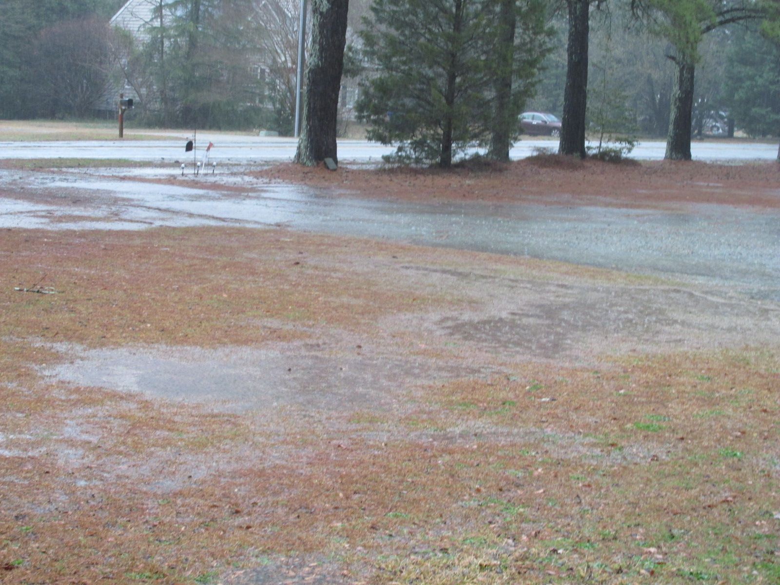 250305 001 thunder storm 002.jpg