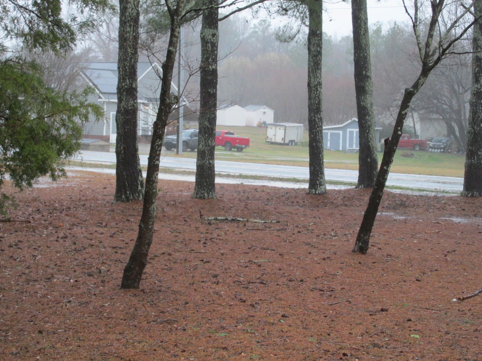 250305 001 thunder storm 003.jpg