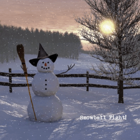 IMG_1790.gif
