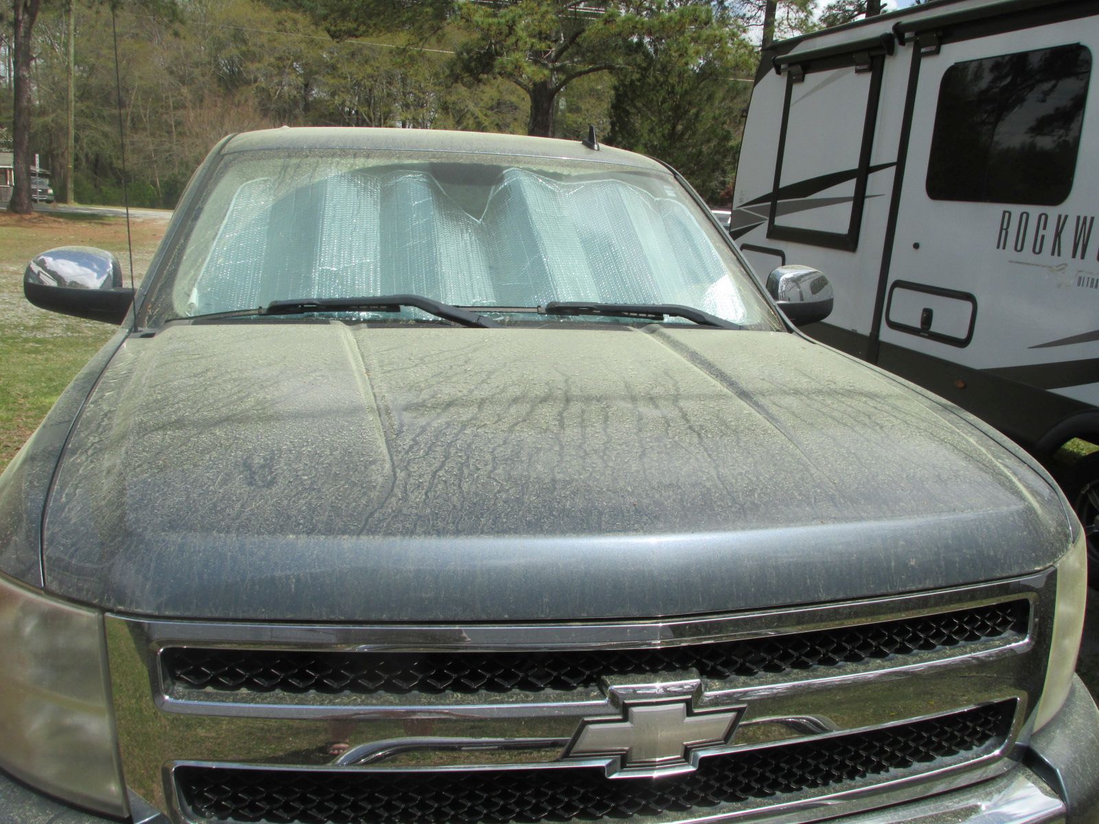 250330 002 pollen 001.jpg