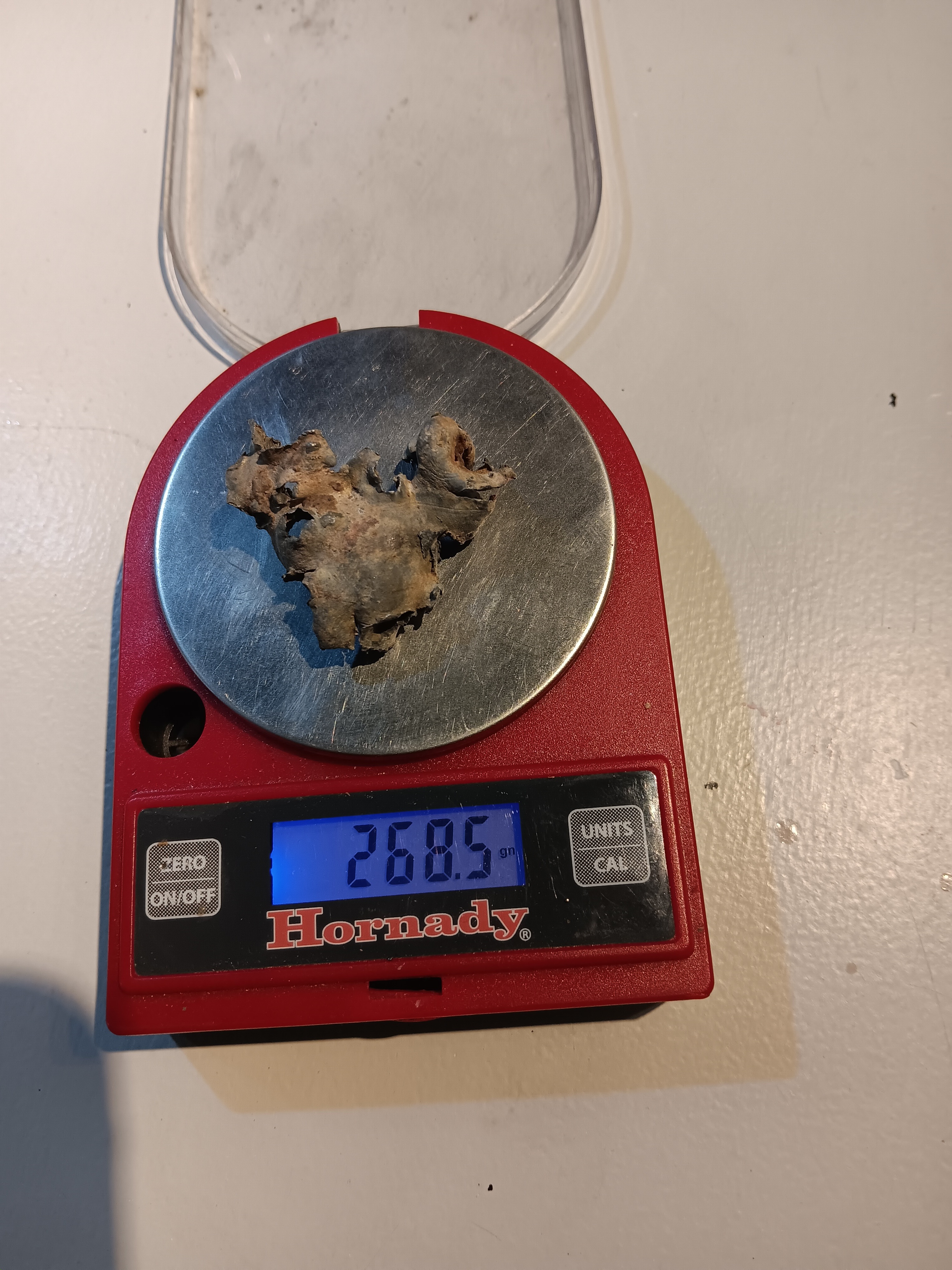 20250413_110346.jpg