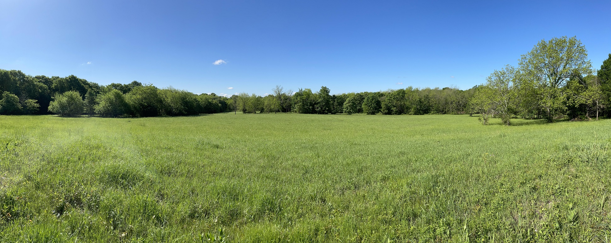 panoramic north pasture 2.jpg