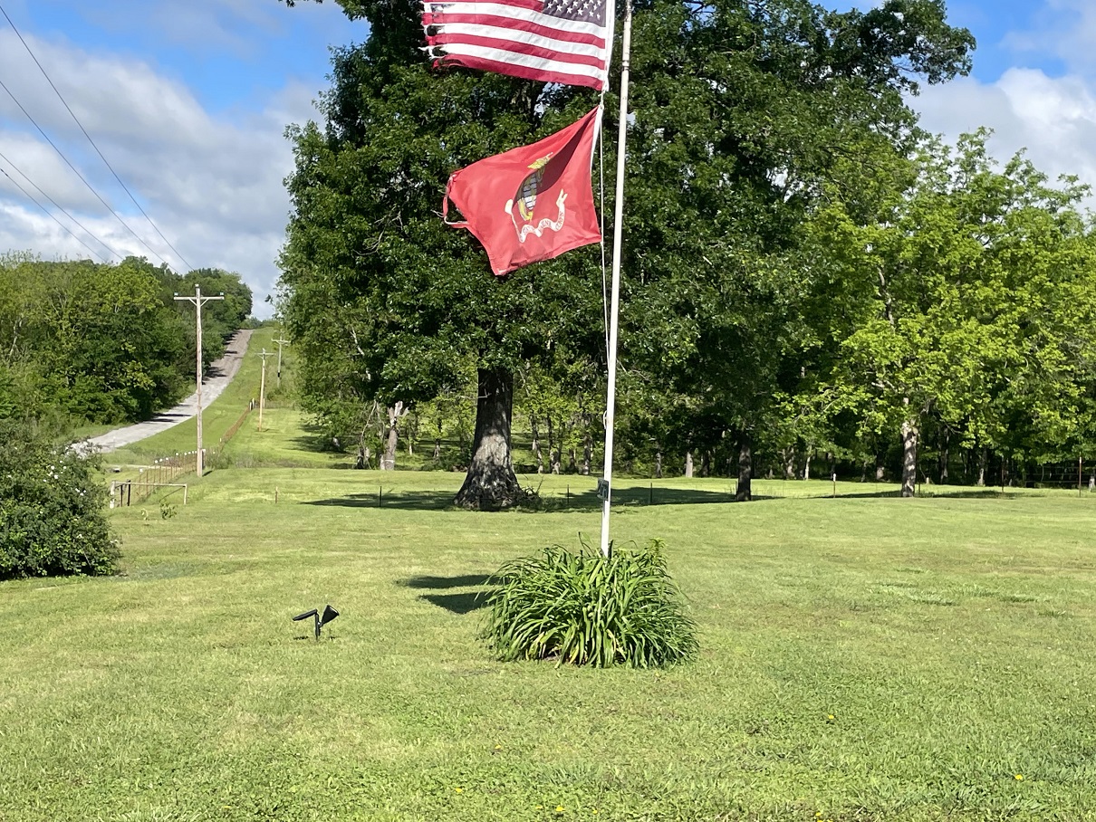 freshly mowed 250512.jpg